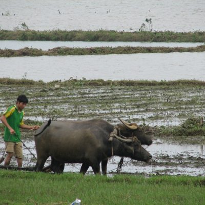 4303 Auf dem Weg nach Danang001