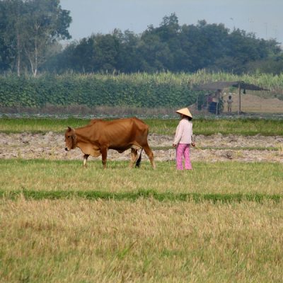 7462 Am Rueckweg nach Saigon001
