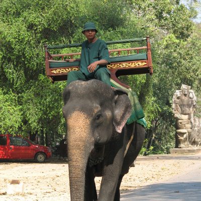 8607 Angkor Tom - Bayon001