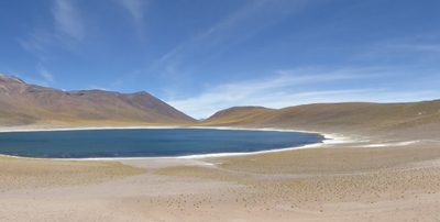 Chile Lagunen Miscanti und Miñiques001